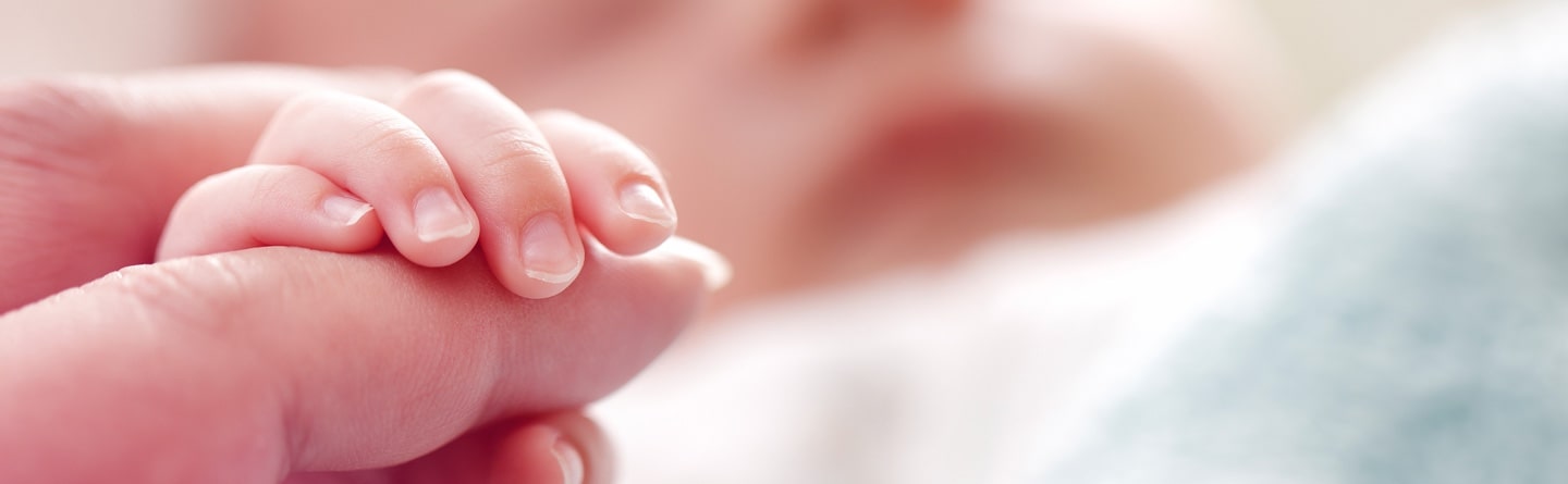 Gli specialisti della procreazione medicalmente assistita