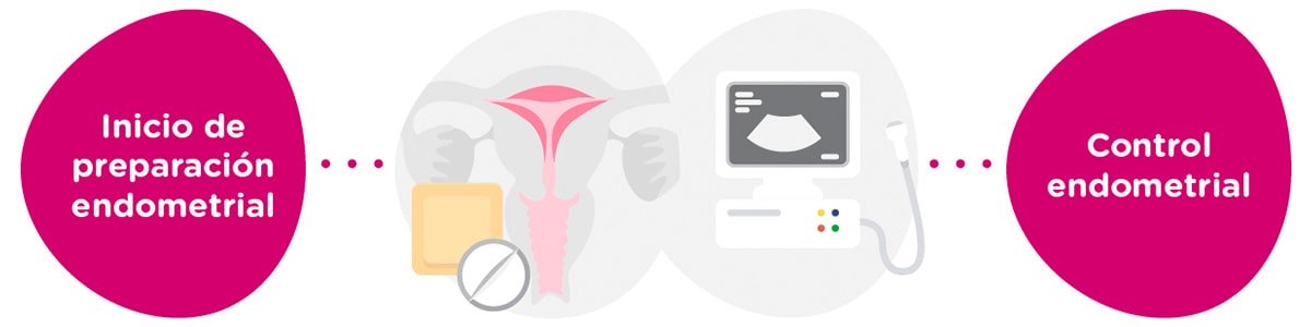 Preparación endometrial + controles ginecológicos