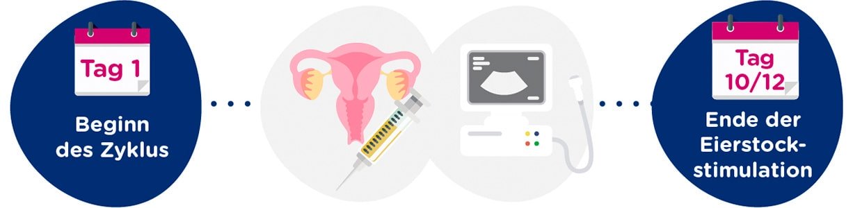 Eierstockstimulation + gynäkologische Untersuchungen