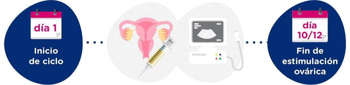 Estimulación ovárica + controles ginecológicos