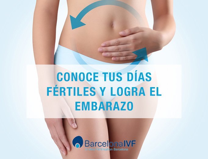 días fértiles Conoce tus días fértiles y logra el embarazo