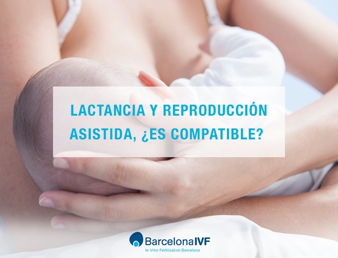 Lactancia y reproducción asistida