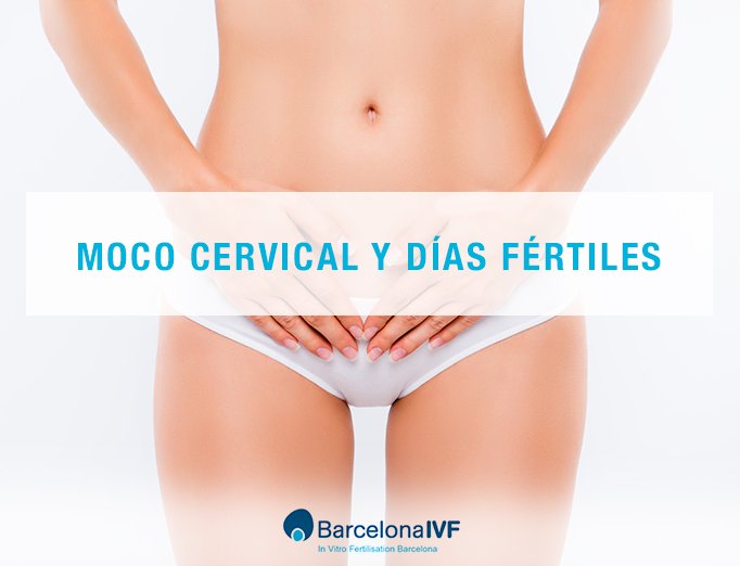 Pautas para identificar los días fértiles a través del moco cervical.