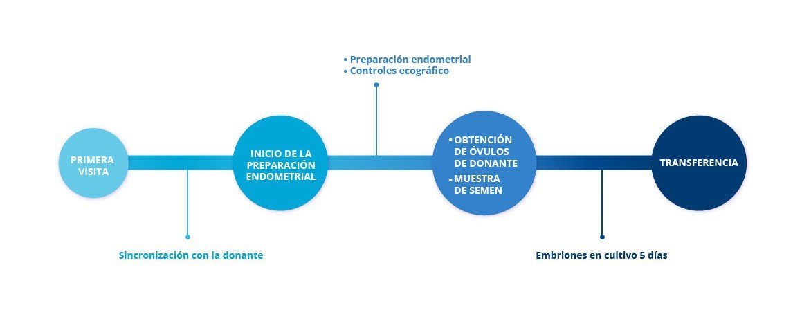 FIV Ovodonación - procedimiento