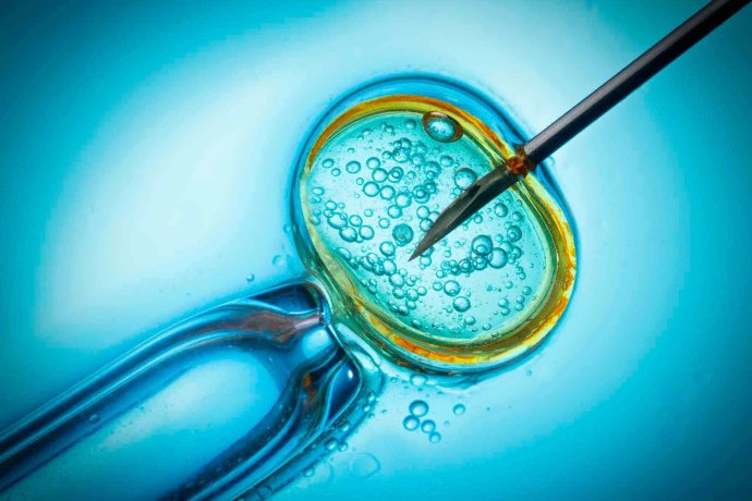 In vitro fertilisation, IVF macro concept