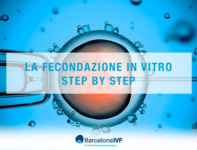 ivf-fecundacioninvitro-it