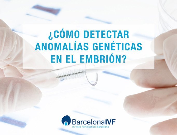 Anomalías genéticas en el embrión Cómo detectar anomalías genéticas en el embrión