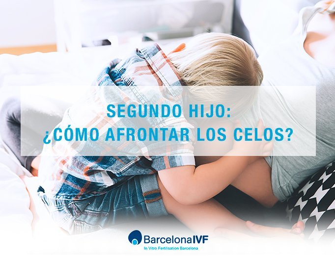 ivf-segundohijo1