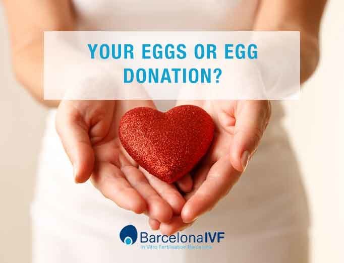 Egg Donation Egg Donation