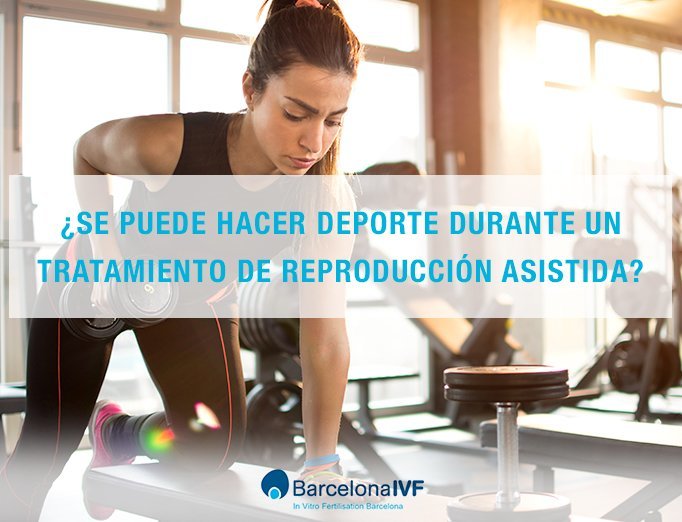 Deporte y reproducción asistida y embarazo